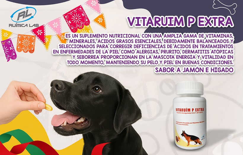 Promociones Septiembre 2025