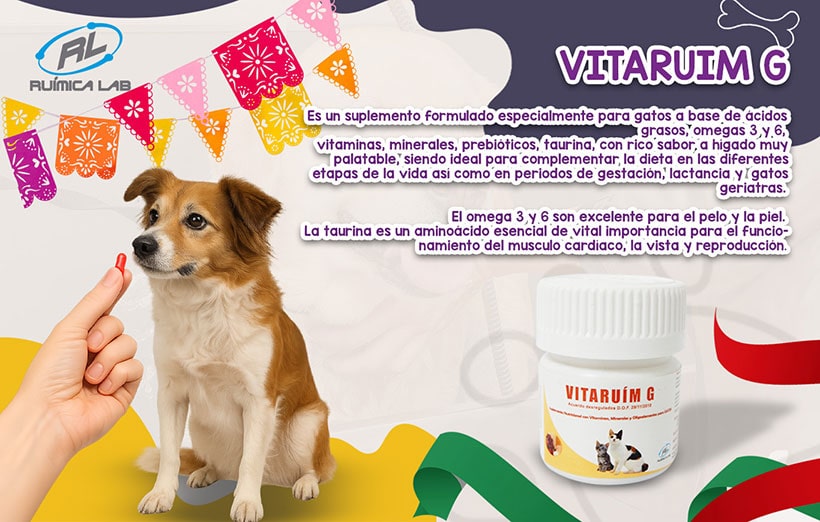 Promociones Septiembre 2025