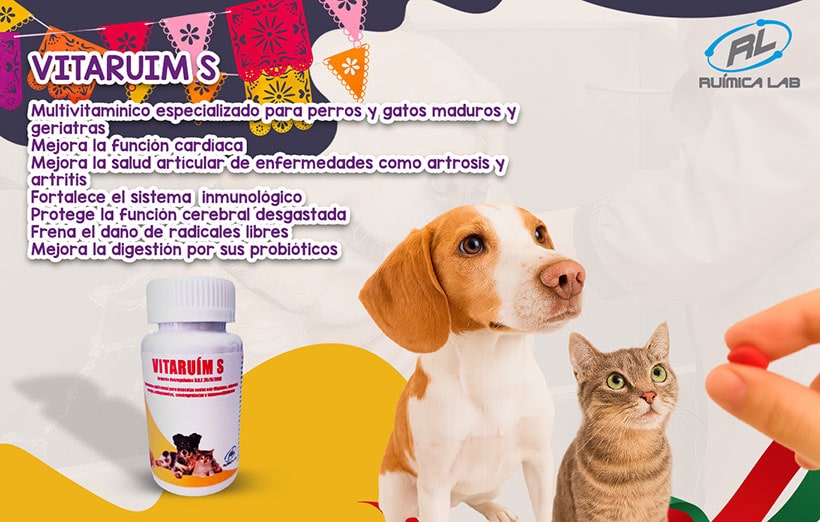 Promociones Septiembre 2025